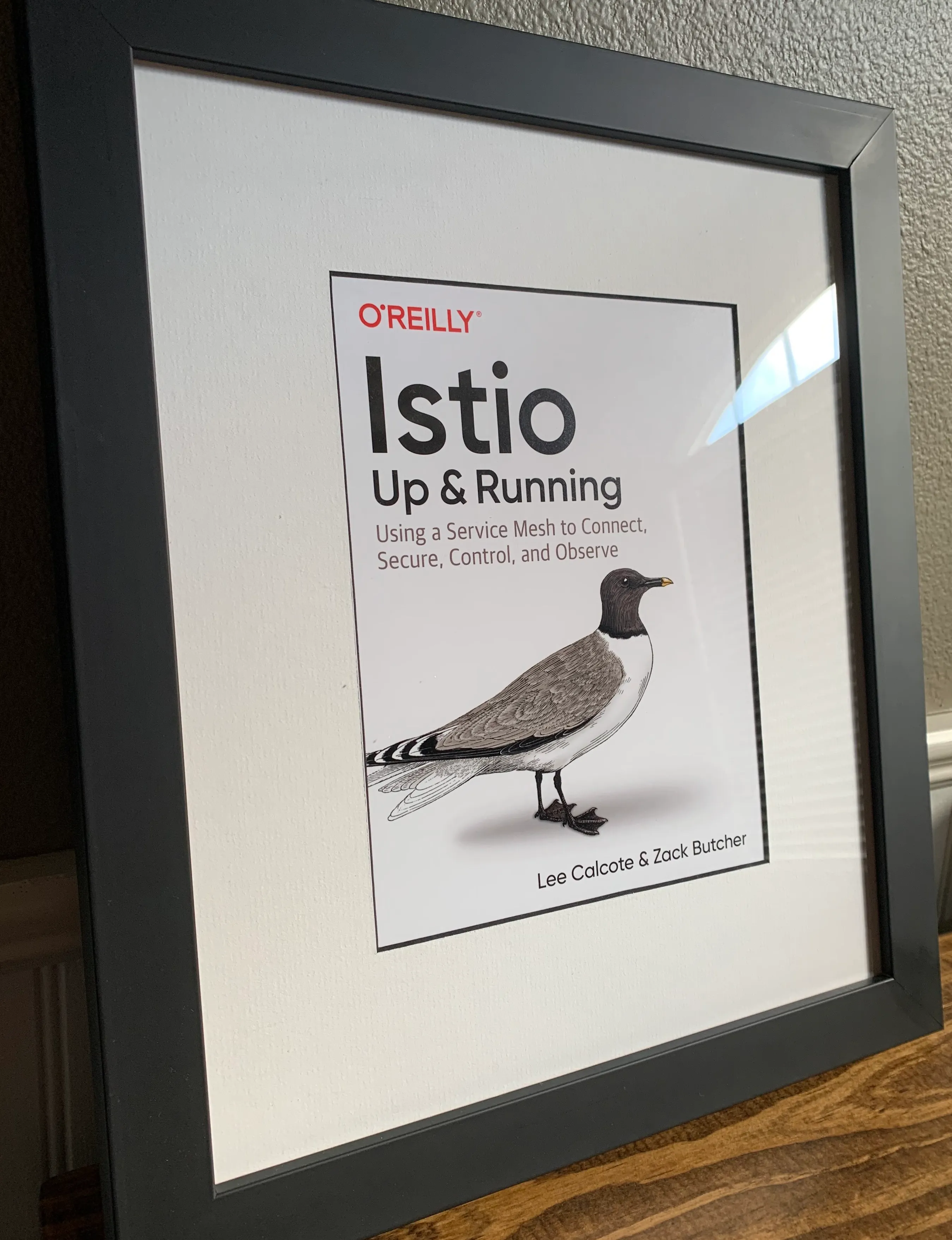 Istio Up and Running framed